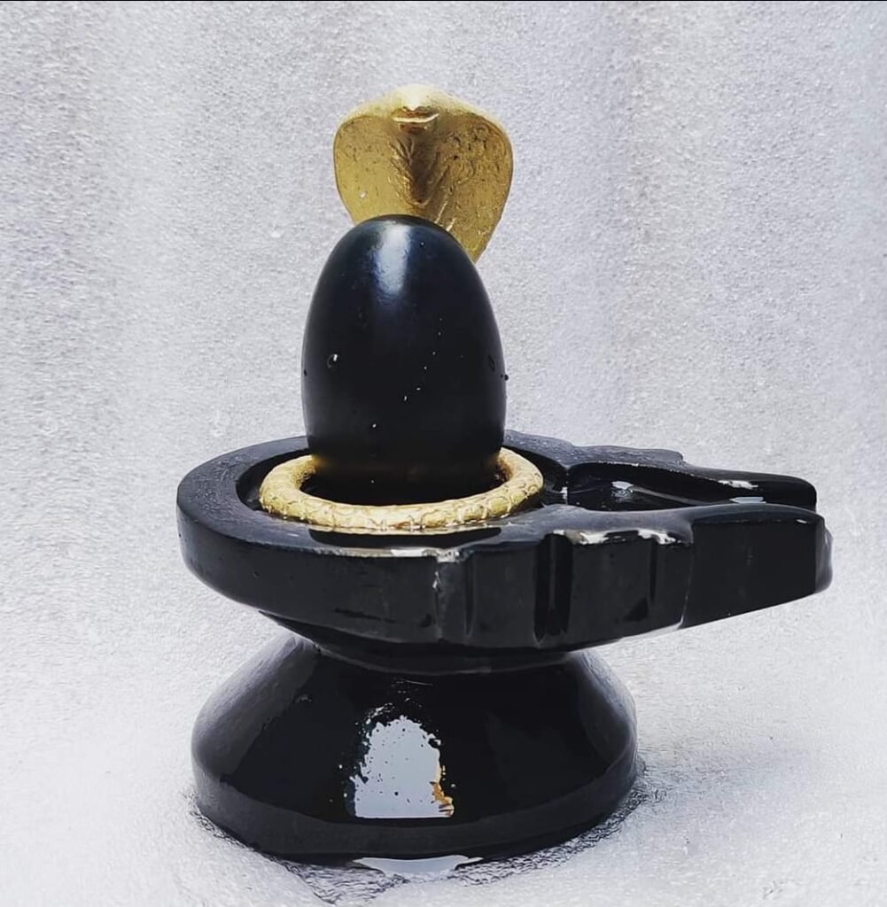 narmdeshwar shivlingam