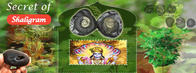 shaligram