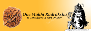 ek mukhi rudraksh