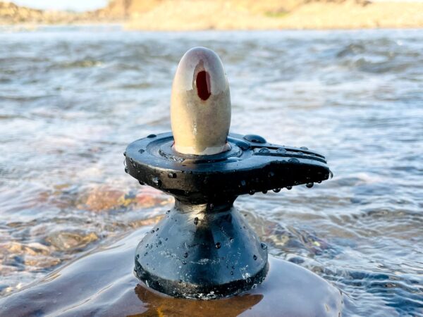 narmada bana lingam - Image 4