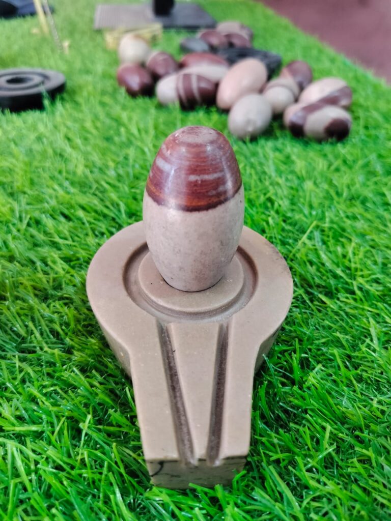 Close View of Original Narmadeshwar Shivling Surface