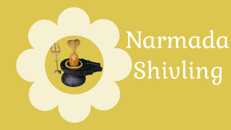 narmada shivaling