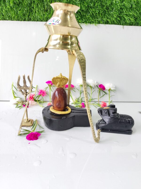 tilak dhari narmadeshwar shivling