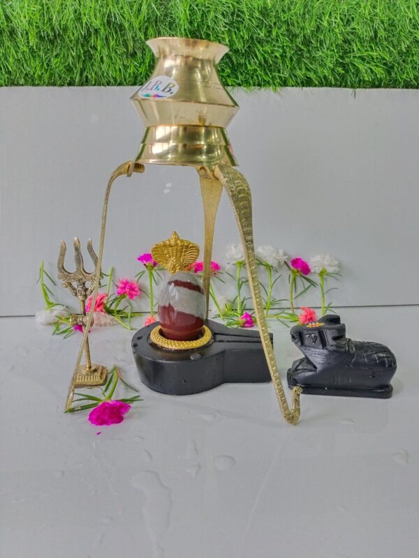 janeu dhari narmadeshwar shivling for home