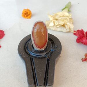 Narmada stone shivling and marble jaladhari