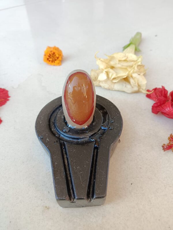 Narmada stone shivling and marble jaladhari