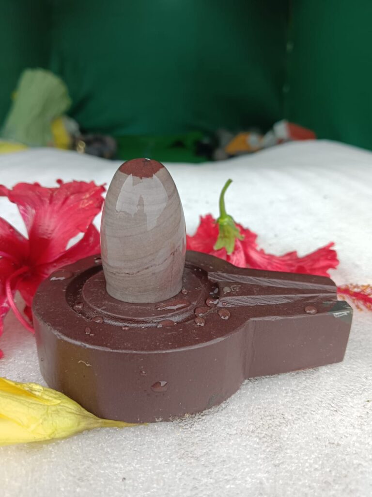 Natural Variations in Narmadeshwar Shivling Shape and Color